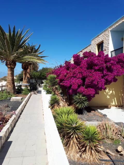 Maravilla Bungalows Cotillo Esterno foto